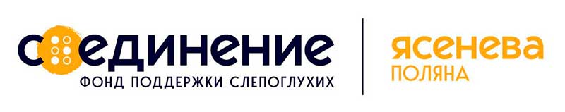 Новый проект - лекторий библиотеки «Со-единение»