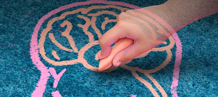 День открытых дверей магистерских программ кафедры «Нейро- и патопсихологии развития»